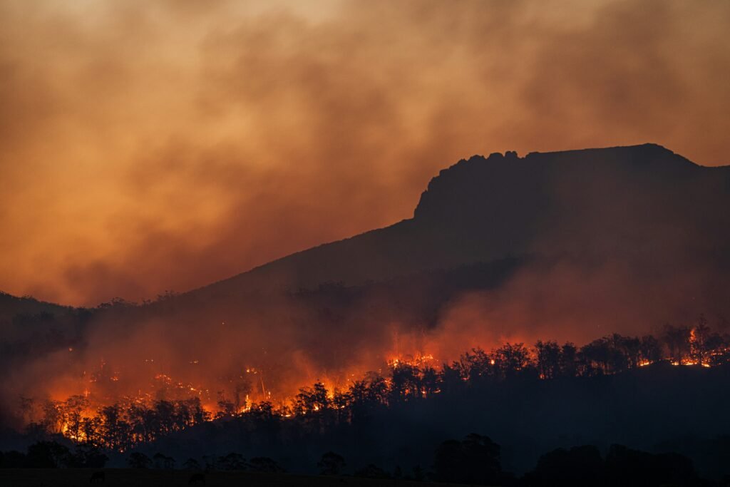 ¿Cómo se combate un incendio forestal? La ciencia tras la emergencia en Costa Esuri
